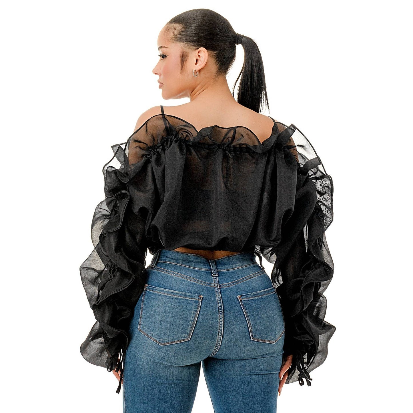 Plus Off the Shoulder Long Sleeve Ruffle Sheer Top