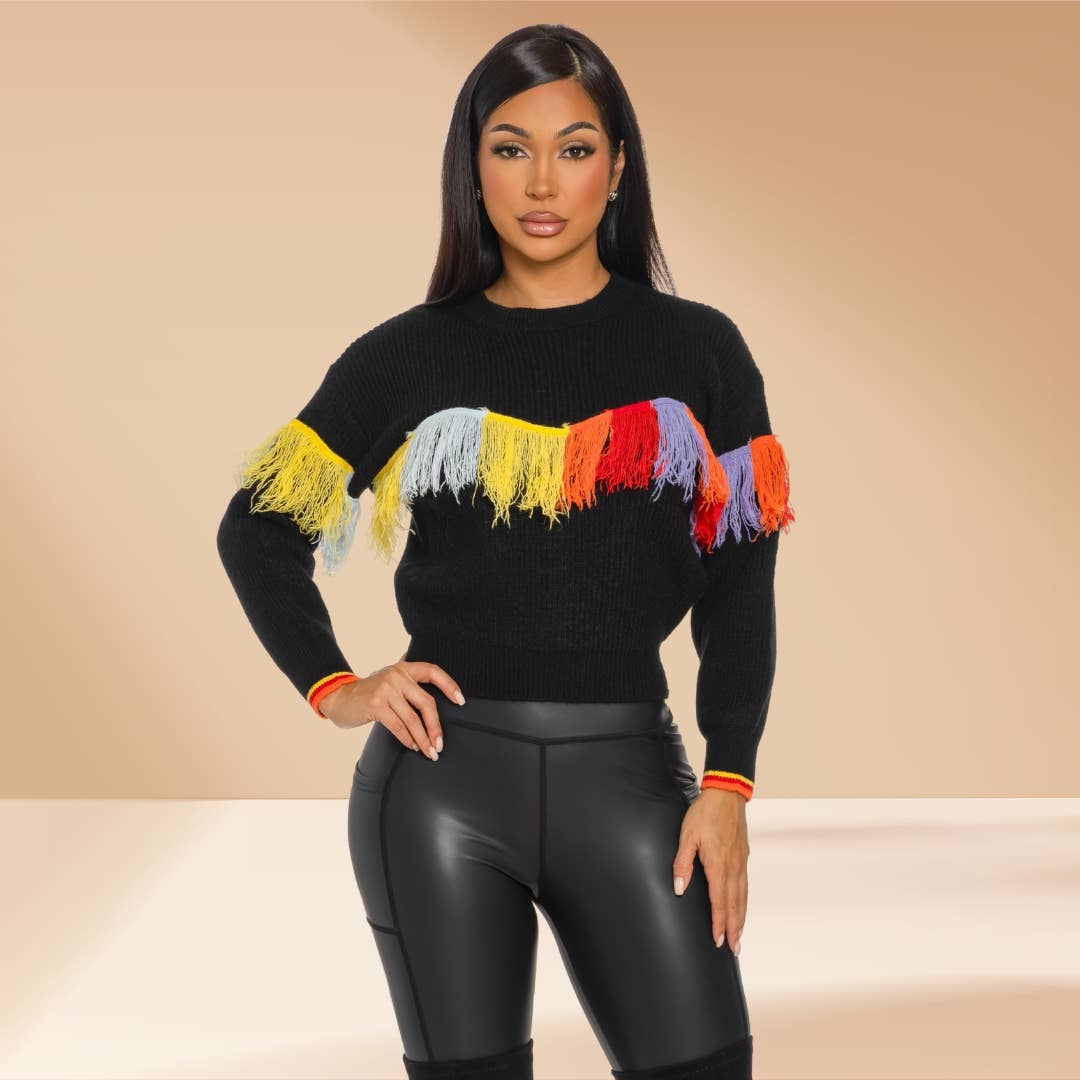 Fringe Knit Sweater Multicolor Accent