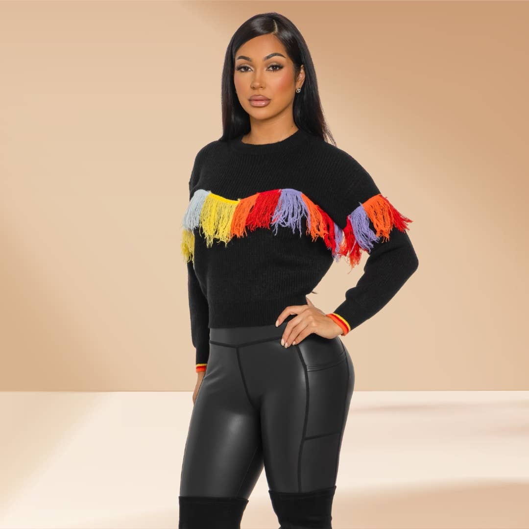 Fringe Knit Sweater Multicolor Accent